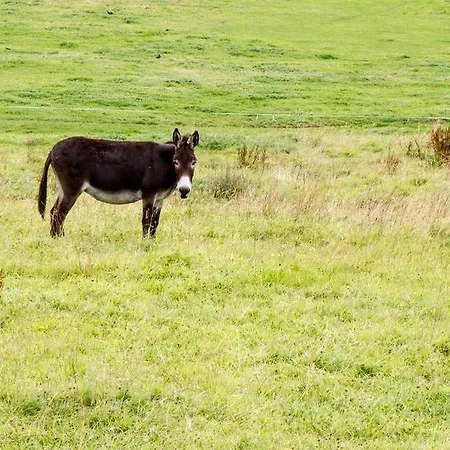 Hotel Abbey View Nenagh
