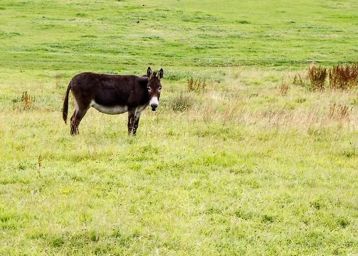 Hotell Abbey View Nenagh